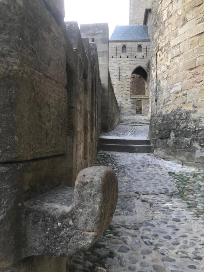 קרקסון Le Clos Saint Michel מראה חיצוני תמונה